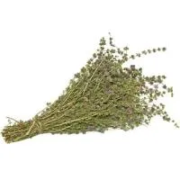 пучок ментол "mr.venikoff"