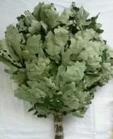 веник дубовый в упаковке. бацькина баня