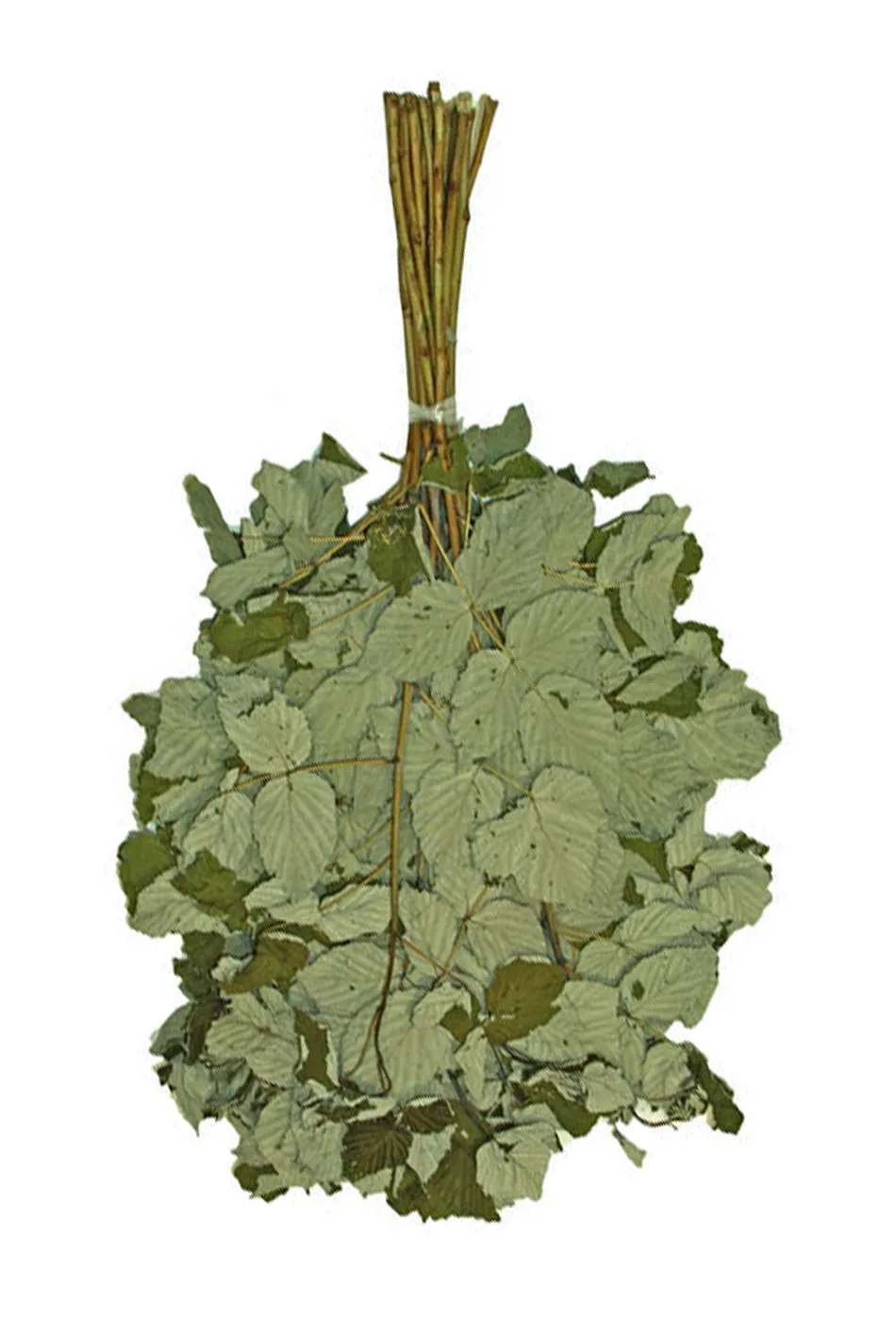 Ореховые венеки